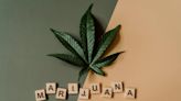 GOP Senator Bashes Dems' Push For Marijuana Legalization As Pro-Criminal & Anti-American: 'It's Obscene'