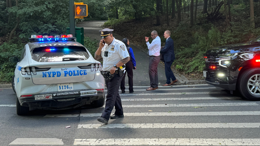 NYPD deploys 100 additional officers to Central Park as crime soars: sources