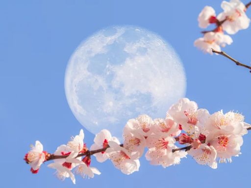 Luna llena de mayo 2024: los mejores sitios para ver la luna de las flores