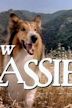 Lassie (serie televisiva 1989)