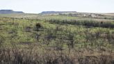 Three months after the Texas’ largest wildfire, Panhandle residents are preparing for the next one