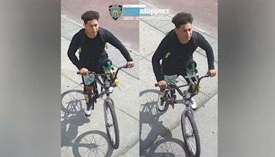 'Strong' person of interest in custody in Queens park sexual assault: NYPD