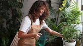 'Easy and inexpensive' fruit can give houseplants a 'pick me up'