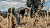 Sequía en Aguascalientes empuja a campesinos a emigrar hacia Estados Unidos