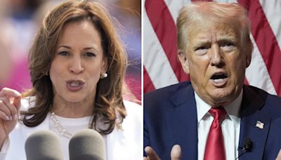 Where Trump and Harris stand on issues like abortion, immigration, wars, and taxes