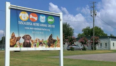 Tuscaloosa Metro Animal Shelter closed while workers sanitize building after canine distemper cases