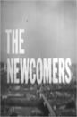 The Newcomers (TV series)