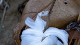 Delicate frost flowers are nature's answer to ice sculptures