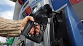 Gas pump prices drop again in Michigan ahead of Thanksgiving holiday travel