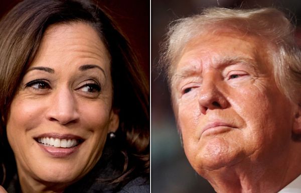 Kamala Harris Campaign Trolls Trump Where It Hurts The Most — On His Own Turf