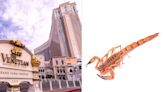 Scorpion Stings Man in His Testicles While He Slept at Las Vegas Hotel
