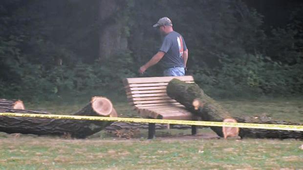 Massive tree branch falls on 3 children at Massachusetts playground, trapping young girl