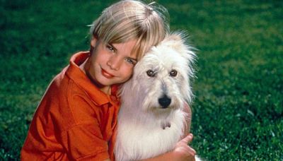 David Gallagher Says “7th Heaven” Episode Where Dog Happy Gets Hit by a Car 'Was Really Heavy for Me'