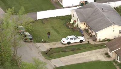 Man shoots neighbor in Lockport Township, police say; suspect in custody