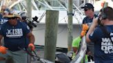 Complete coverage of the 2022 White Marlin Open in Ocean City, Maryland