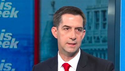 ABC host confronts Tom Cotton after he says rioters were 'just wandering' on Jan 6.