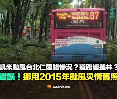 【錯誤】凱米颱風台北仁愛路變叢林？非近期拍攝！2015年蘇迪勒颱風災情舊照