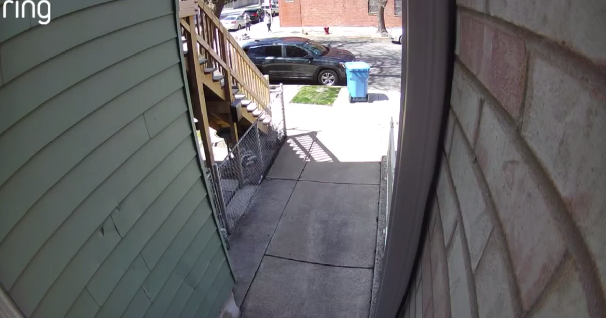 Video shows Chicago Police officer shooting, killing man's dog; COPA has questions
