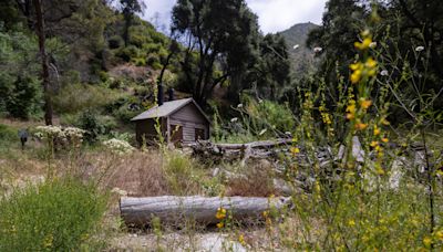 Cool, gentle Tujunga stream draws masses. Piles of waste, traffic, illegal parking follow