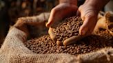 Recorde: Brasil exporta 47,3 milhões de sacas de café na safra 2023/24 | Agro Estadão