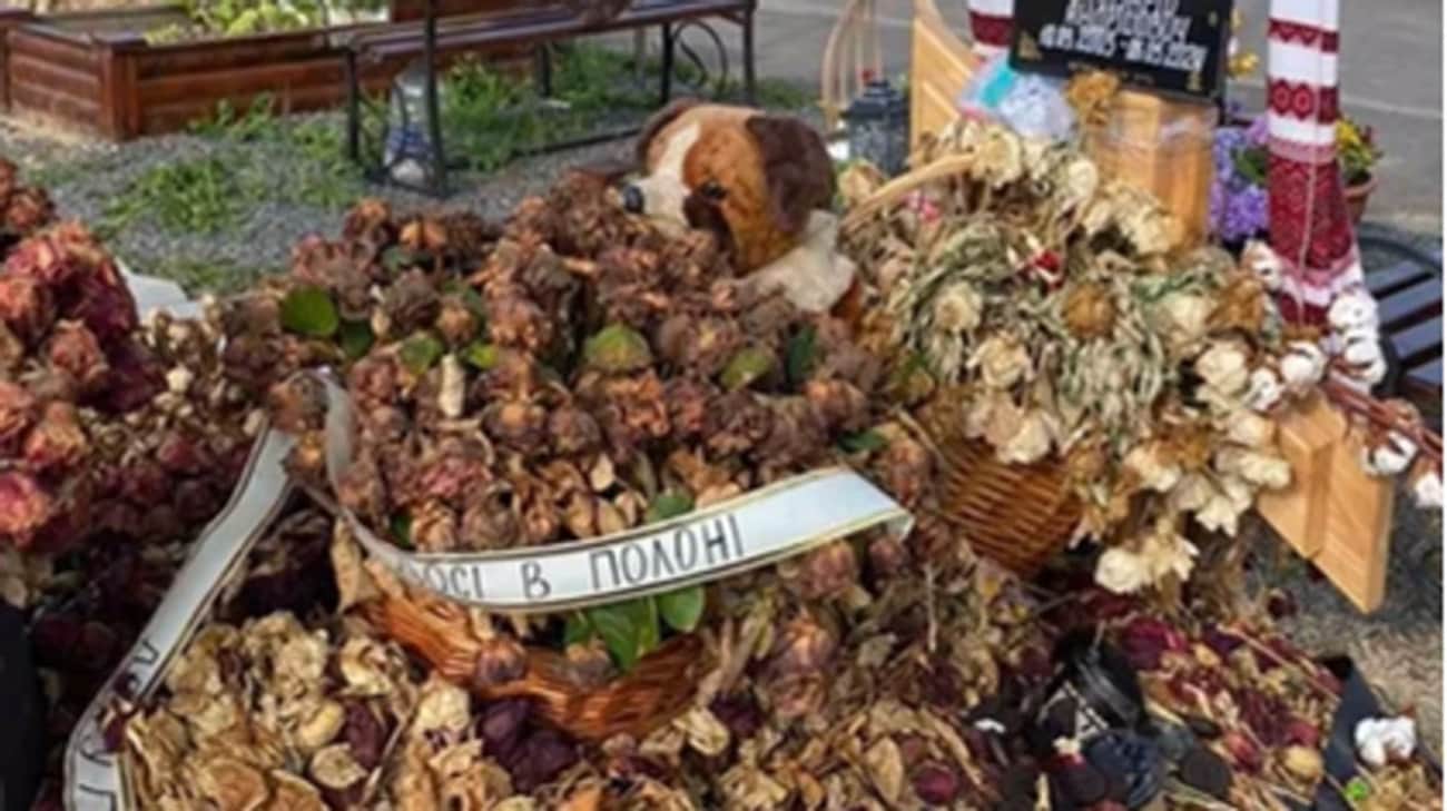 Toy dog returned to grave of 21-year-old Ukrainian soldier Hrinka after his mom's pleas