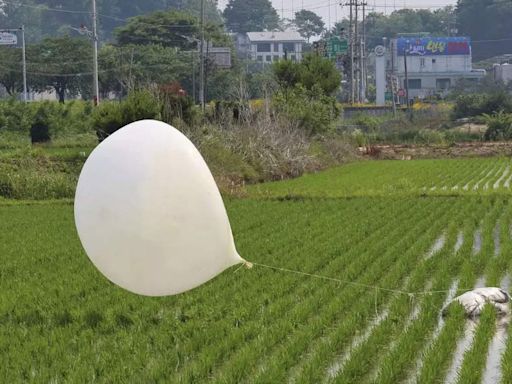 North Korea launches balloons likely carrying trash toward South Korea - Times of India