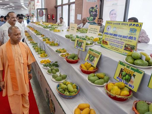 CM Adityanath inaugurates Uttar Pradesh mango festival
