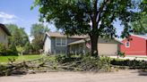 What do I do with my tree branches after a storm?