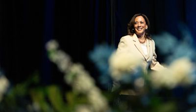 Opinion | Democrats, All of Them, Must Protect Harris