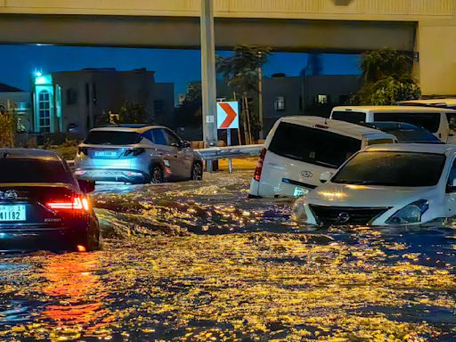 Dubai property boss says floods were overexaggerated: 'Things like that happen in Miami regularly'