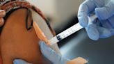 FDA advisers urge targeting JN.1 strain in recipe for fall’s COVID vaccines - WTOP News