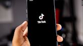 TikTok has promised to sue over the potential US ban. What's the legal outlook?