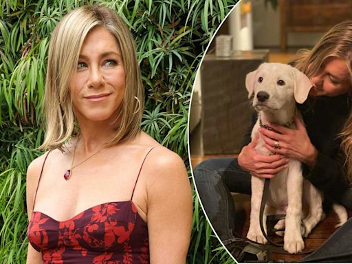 Jennifer Aniston expands fur baby family