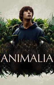 Animalia