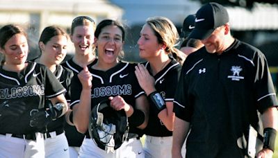 Snyder delivers walk-off hit for Blossoms against Hayfield - Austin Daily Herald