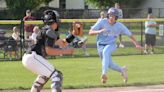 A look at the MHSAA baseball districts in Lenawee County