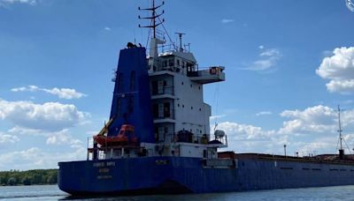 Ukraine seizes cargo ship carrying ‘looted’ grain for Russia