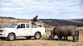 Radioactive Device on Rhino Horns Rolled Out to Fight Poaching