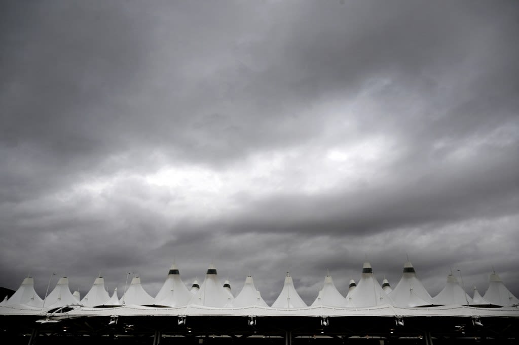 Service dog bites passenger, American Airlines employee at Denver International Airport