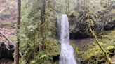 Eugene's best kept waterfall secret: Upper Trestle Creek Falls Trail