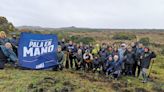 Festival Pala en Mano plantará 10 mil árboles en Ancud para combatir la deforestación insular - La Tercera