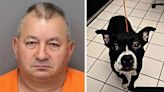 St. Petersburg man arrested after decapitated dog found at Fort De Soto Park