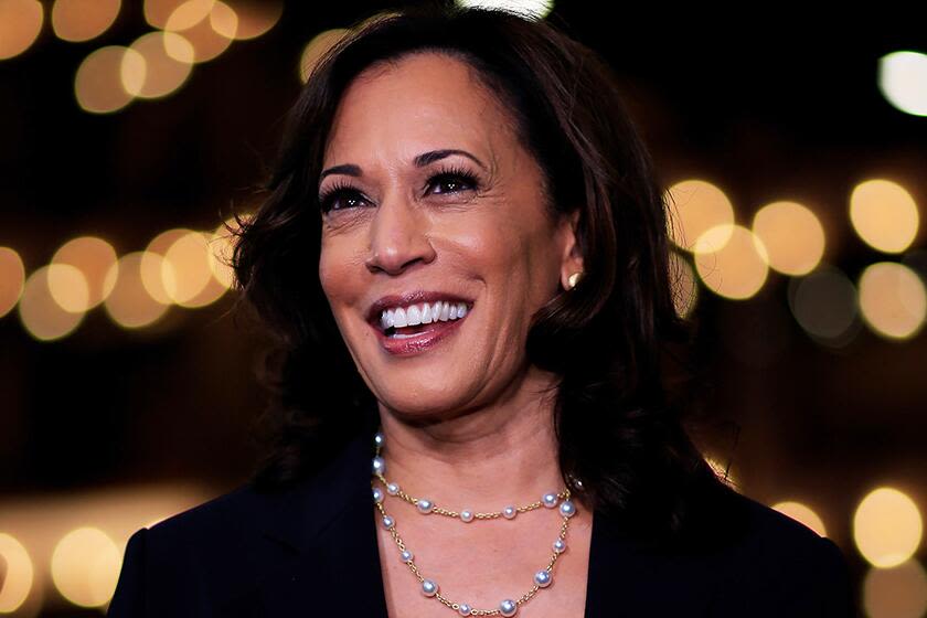 Biden just dropped out and endorsed Harris. What happens now?