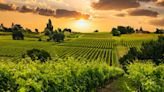 10 Sustainable Wineries That Will Help You Go Green While Drinking Your Red, White or Rosé