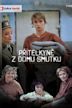 Přítelkyně z domu smutku (TV series)