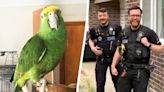 Police rush to home to reports of ‘screaming woman’ only to find loud parrot