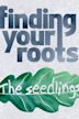 Finding Your Roots: The Seedlings