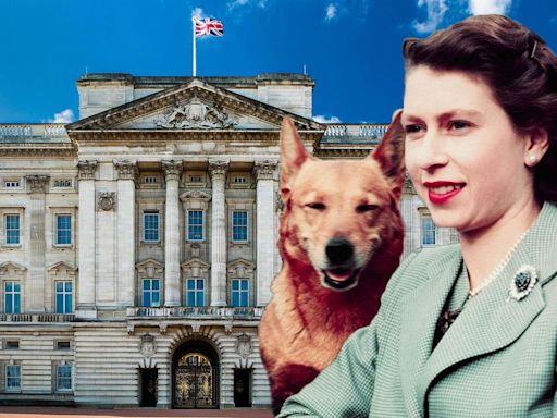 The royal pets: meet the animals who live in a palace