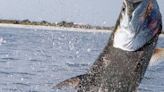 Want to fish at Hilton Head for free? Here’s where to find the public piers and what they offer