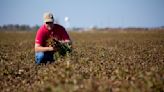 Sometimes You Feel Like a Nut: Salty Tidbits in Honor of Arkansas Peanut Month